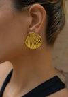ASRI Shell Earrings