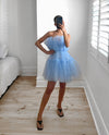 CANDICE Tulle Ruffle Dress - Baby Blue